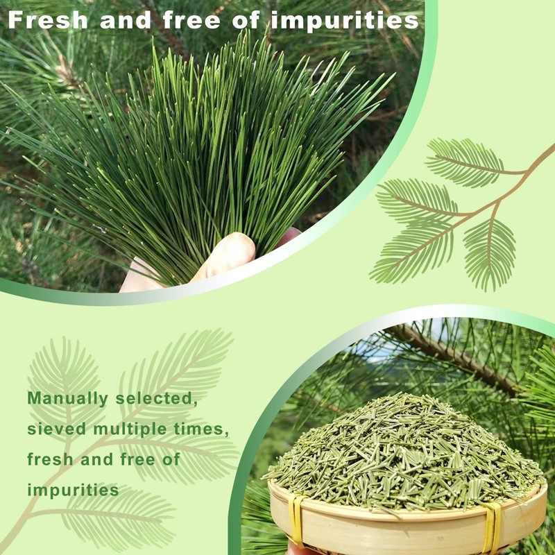 KASVAN Organic Pine Needle Tea (8.8 oz) - White Pine