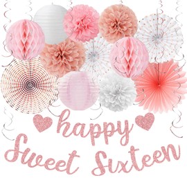 Vlipoeasn Sweet 16 Birthday Decorations for Girls, Rose Gold 16th Birthday Party Decor, Happy 16 Year Old Party Supplies
