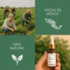 Aceite de Orégano Salvaje Orgánico 100% natural | 80% Carvacrol