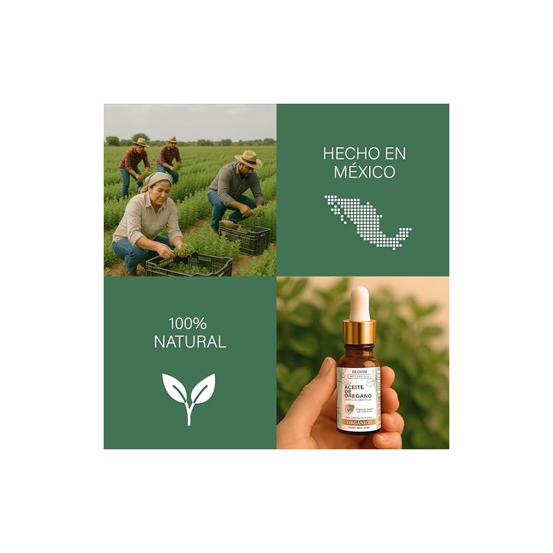 Aceite de Orégano Salvaje Orgánico 100% natural | 80% Carvacrol