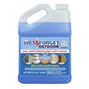 Wet & Forget Moss, Mold, Mildew, & Algae Stain Remover