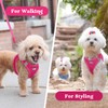 rabbitgoo Small Dog Harness, Step-in Soft Mesh Puppy Vest, Easy