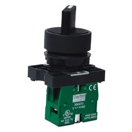 Dayton Non-Illuminated Selector Switch, Size: 22mm, Position: 2, Action: Maintained/Maintained