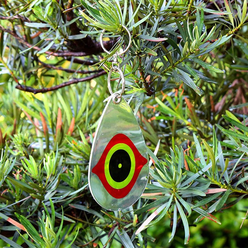 cainda 10 Pack Horrible Predator Eye to Scare Birds Away,