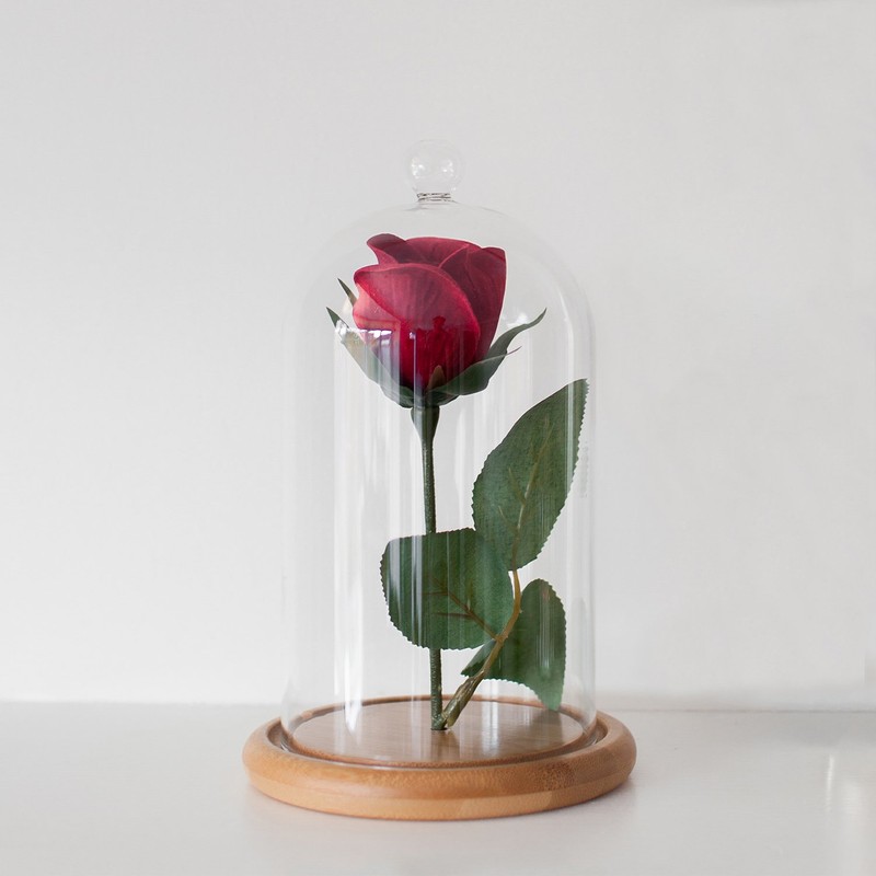 Lights4fun Regular Glass Cloche Bell Jar Display Dome with Wooden