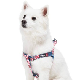 Blueberry Pet Step-in Southwestern Tribal Diamonds Dog Harness, Chest Girth 16.5" - 21.5", Small, Adjustable Harnesses for Dogs