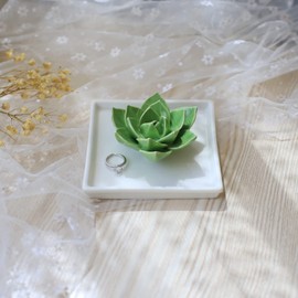 JOYIMARR Aloe Ring Holder For Jewelry,Succulent Jewelry Holder, Birthday Gift for Women/Mom/Female Friend, Jewelry Dish for Rings