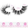 False Eyelashes Clear Band Natural Lashes Wispy Cat Eye 15mm