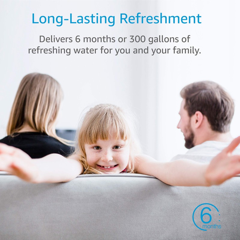 AQUACREST DW2042FR-09 Refrigerator Water Filter, Compatible with Daewoo DW2042FR, Kenmore