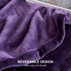 EHEYCIGA Fleece Blanket Throws for Sofas Fluffy Warm Soft Blanket