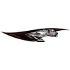 COUGAR Keystone Cougar RV Trailer Decal - 42 x 8.6