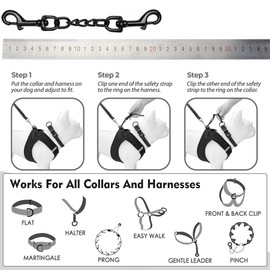 DEYACE Metal Dog Collar Safety Clip, 2 Pack Heavy-Duty Backup for Prong Collar, Dog Harness Collar Connector 8inch/10inch (8-Inches, Black)