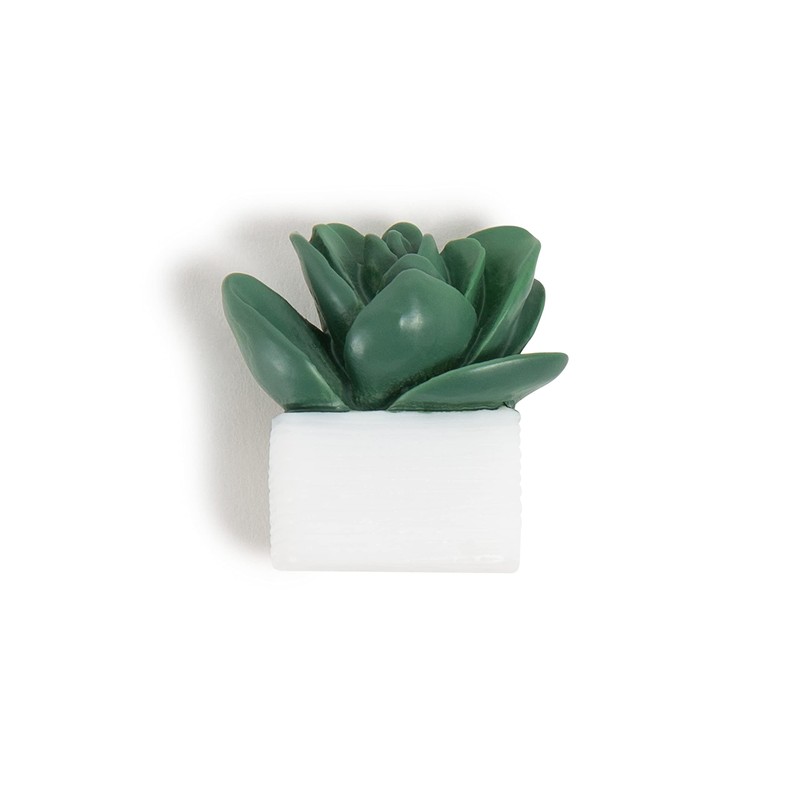 U Brands Succulent Push Pins Set, Office Supplies, Three Assorted