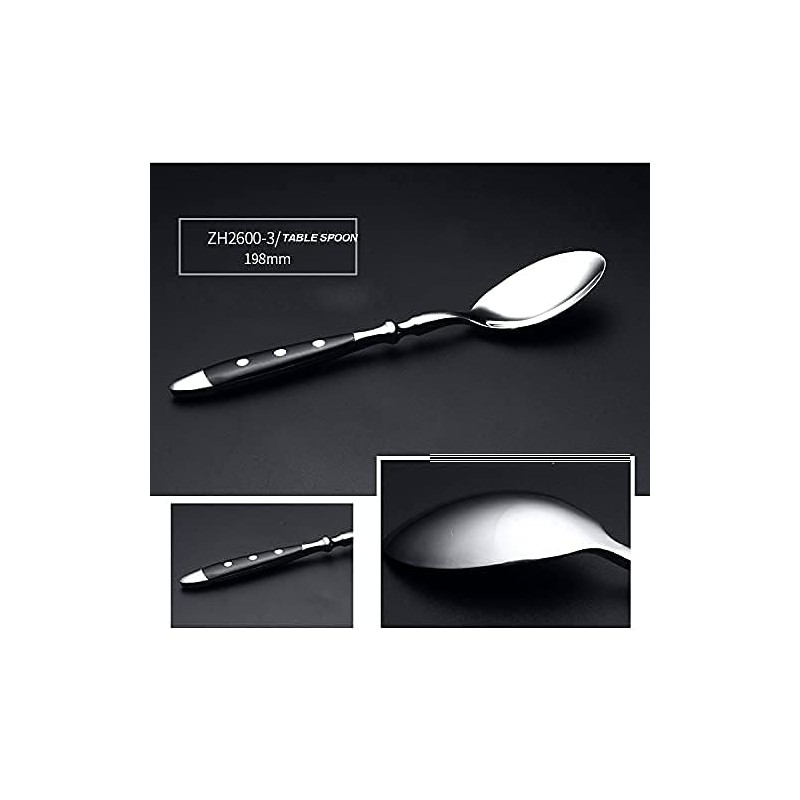 HOMECHAN 20-Piece Vintage Silverware Set with Black Bakelite Handles -