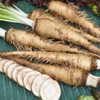 NIKA SEEDS - Vegetable Oat Root Salsify - 100 Seeds