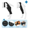 Joypig Dog Rear Leg Sleeve to Stop Licking, Surgical Sleeve