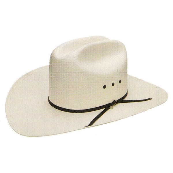 Stetson Rancher Straw Cowboy hat (7 1/8) Natural