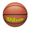 Wilson Basketball EVOLUTION WTB0595XB0603 Indoor Size 6 / Diameter 9.1