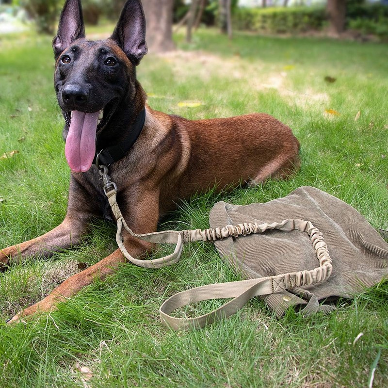 IronSeals Tactical Dog Training Bungee Leash Quick Release Buckle with