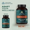 Ancient Nutrition Ancient Nutrition Mushroom Supplement, Organic Multi Mushroom Immune Support Tablet, Supports Stress Response, Gluten Free, Paleo and Keto Friendly, 60 Count