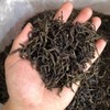 Luxtea Chinese Top10 Famous Tea – Wuyi Da Hong Pao
