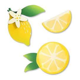 Roeda Brighten Your Life 14024y Lemon Set of 3 Assorted Magnets