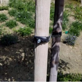 One Stop Outdoor 10-Pack Universal Tree Ties Strap 32" - Professional Gardener Style W/ Nails