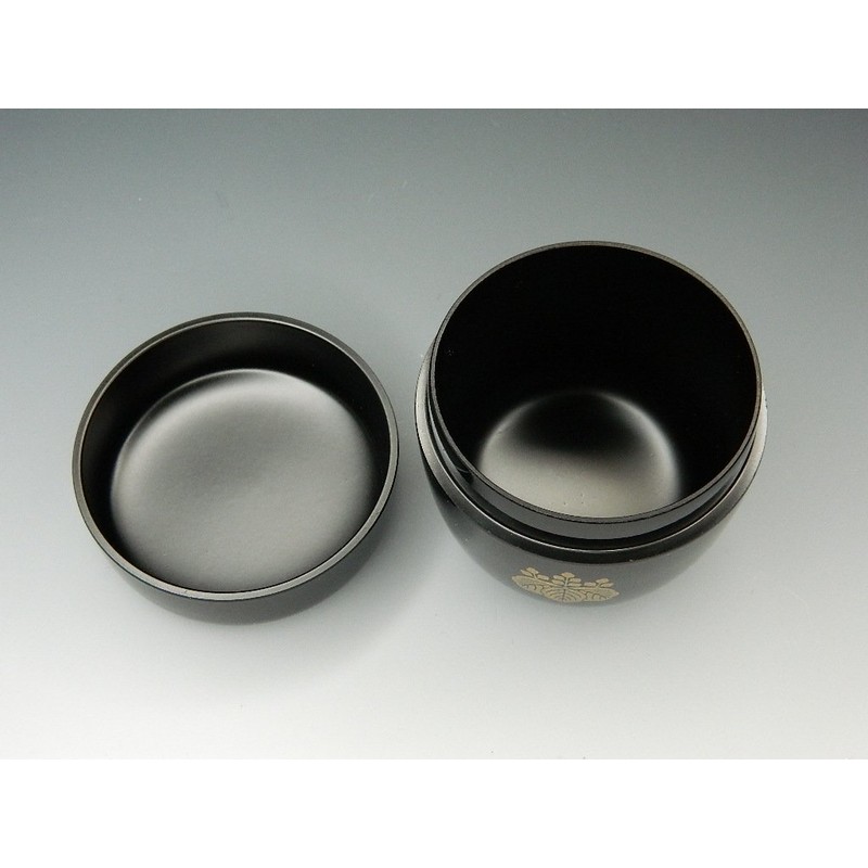 Nakashi Takadai Sai-e Black Paint, Resin Paint, Made in Japan,