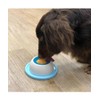 Doggie Man Doggy Man Doggy Kono's Flimsy Taste Ball