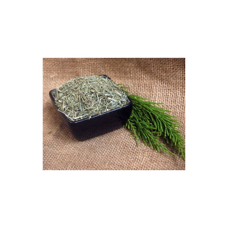 Naturix24 Horsetail Tea Horsetail Cut - 100g Bag