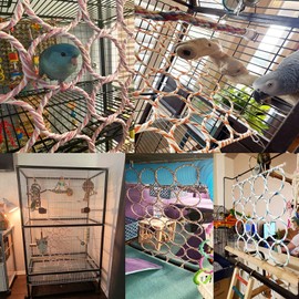 Bird Hemp Rope Net Swing Parrot Perch Climbing Rope Ladder Hammock Hanging Net Activity Toy wiht 2 Hooks for Greys Cockatoo Cockatiel Conure Lovebirds13.8 x 23.6"(2 Pcs)