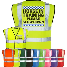 Corporate Togs HORSE IN TRAINING SLOW DOWN Equine Hi-Vis Vest - Equestrian Safety Waistcoat Tabard, Fully EN471 and Fastening Vest | Personal Protective Equipment
