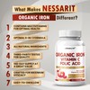 NESSARIT Organic Iron High Potency with Vitamin C, Folic Acid