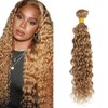 30 Inch Raivide Color 27 Bundle Honey Blonde Water Wave