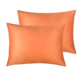 NTBAY Zippered Satin Pillow Cases for Hair and Skin, Luxury Standard Hidden Zipper Pillowcases Set of 2, 20 x 26 Inches, Orange