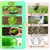 SEOIMU 20 pieces + 20 pieces snail net, snail collar,
