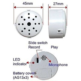 Beary Fun Friends Recordable 16" Plush Tux The Penguin w/20 Second Digital Recorder for Special Messages, Rymes or Songs