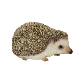 Vivid Arts Ltd Pet Pals Pygmy Hedgehog