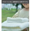 Organic Handkerchief, Set of 5, Towel Handkerchief, Made in Japan,