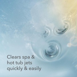 Leisure Time 45450A Jet Clean Spa Cleaner for Spas and Hot Tubs, 1-Pint