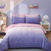 Dinjoy Girls Women Comforter Set King Size Ombre Pink Purple