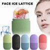 Face Ice Mold, 1 Count/2 Counts/3 Counts Silicone Ice Face