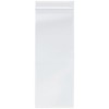 Plymor 4" x 10" (Pack of 100), 2 Mil Zipper