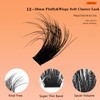 Fluffy Cluster Lashes 100D+200D Individual Eyelashes 256pcs Long 12-26mm Thick