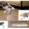2025 New Two-Piece Interactive cat Ball Toy, Indoor Mobile cat