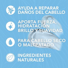 HIDRACOLOR - Oil Essencials Shampoo 300 ml, Champú que Revitaliza, Humecta y Repara el Cabello, con Aceites Esenciales, Refuerza Fibras del Cabello, Aporta Brillo y Sedosidad, Uso Diario