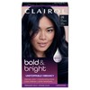 Clairol Bold & Bright Permanent Hair Dye, 28 Wild Blackberry