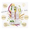 2 Pack Shampoo Liss Yellow, Alisador Y Controla El Frizz