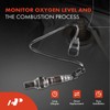 A-Premium O2 Oxygen Sensor Compatible with Land Rover Range Rover