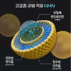 Liposome NMN efficacy phytochemical Phytochemical NMN MNM 90 tablets /